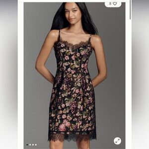 Floral Fruit Mesh Dress